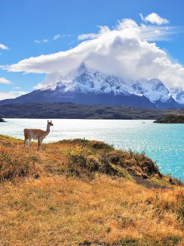 Argentinien und Chile - Gletscherwelt und Wüstenzauber