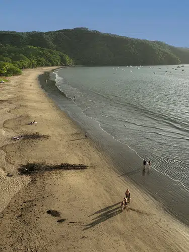 Costa Rica - vom Ruf des Regenwalds zur Ruhe am Strand