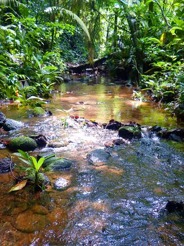 Costa Rica - vom Ruf des Regenwalds zur Ruhe am Strand