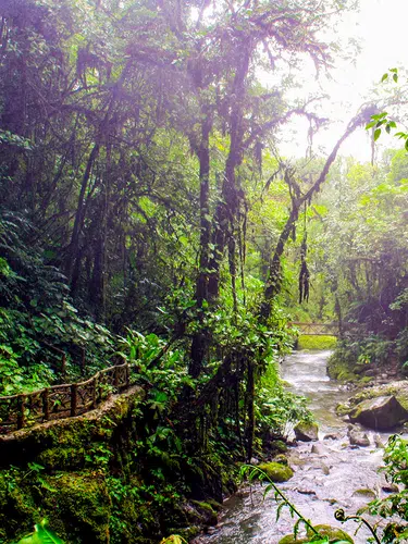 Pura Vida - Naturparadies Costa Rica