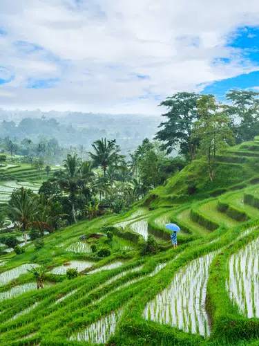 Bali - Naturwunder, Tempel und Meer