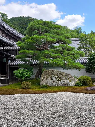 Japans Süden - von den Vulkanen Kyushus ins Herz von Kyoto