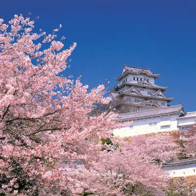 Japan für Entdecker