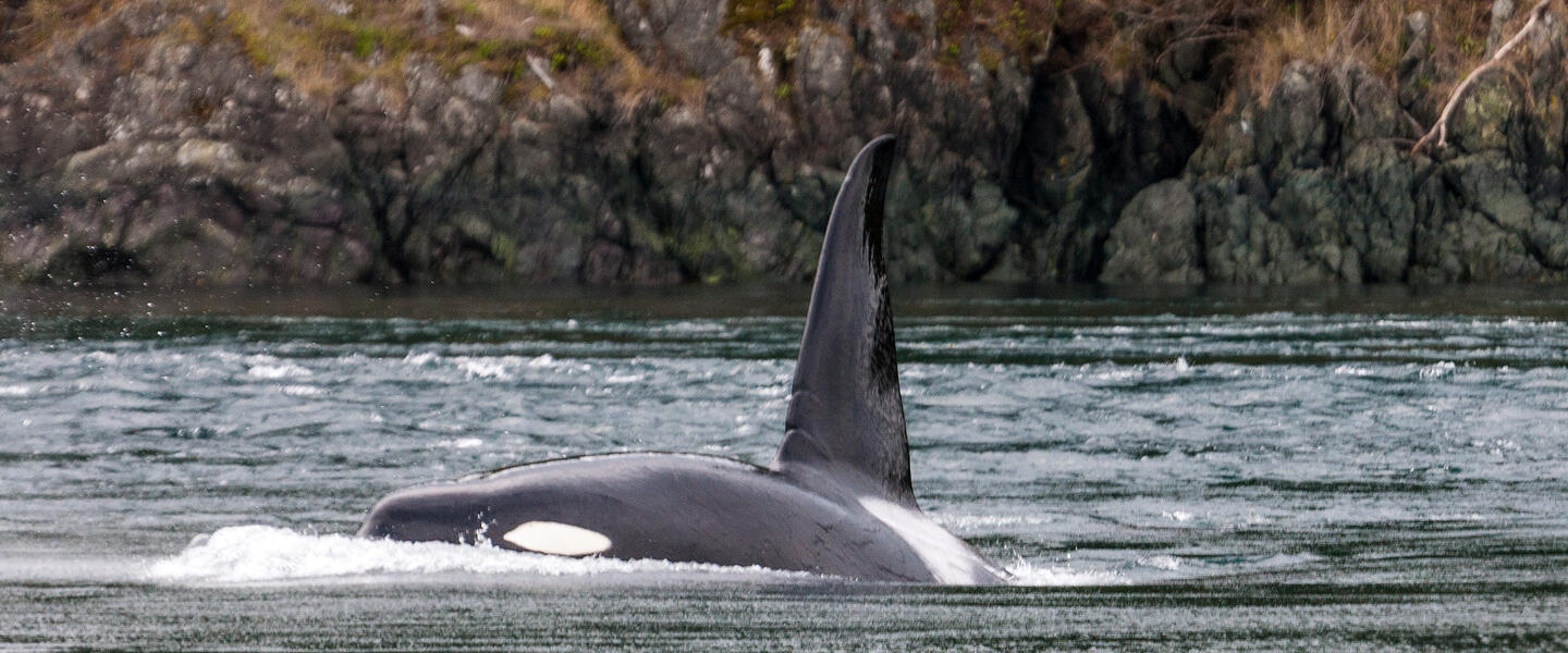 Ostkanada - Farbenspiele im Land des Ahorns