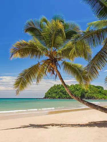 Madagaskar - Lemuren und Meer