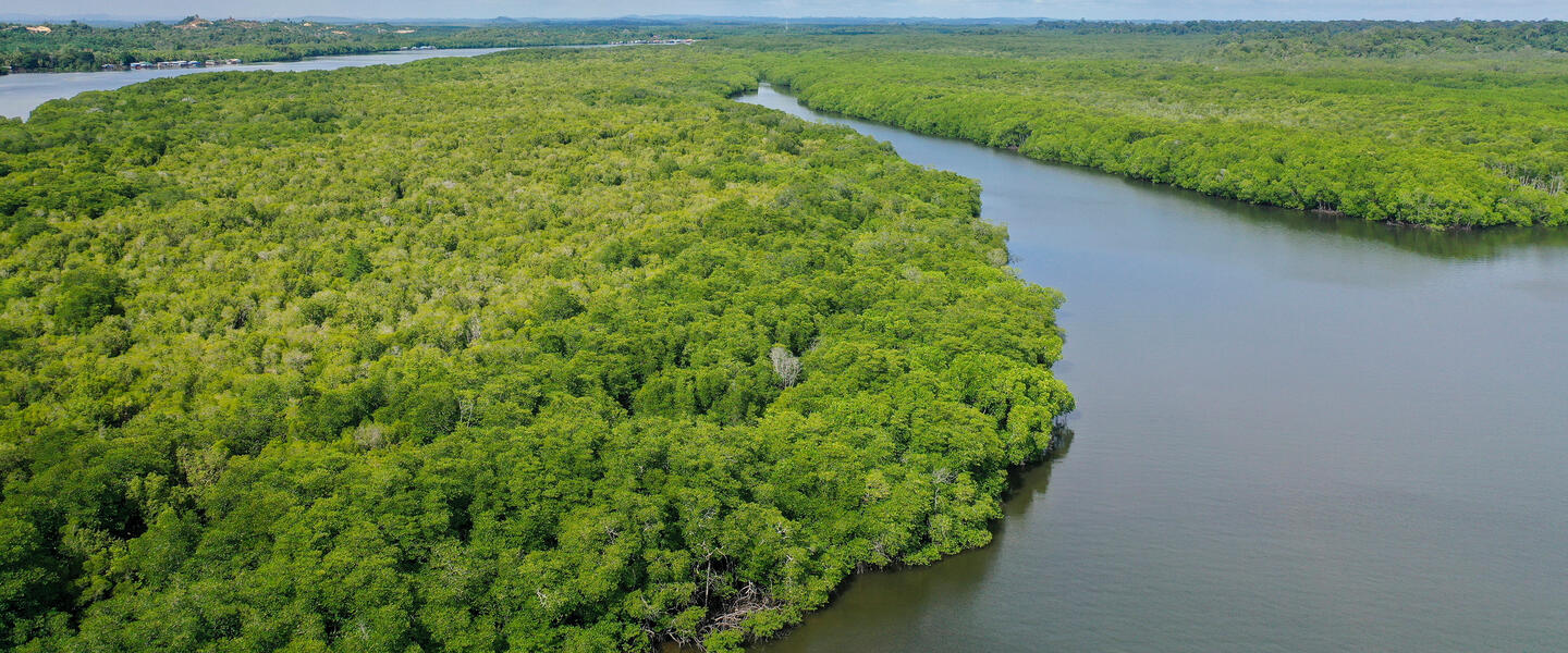 Multikulturelles Malaysia und Borneo Multikulturelles Malaysia und Borneo