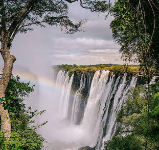 Simbabwe, Namibia, Botswana - im Herzen Afrikas