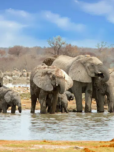 Südliches Afrika - Wüstenwunder und Lebensquellen