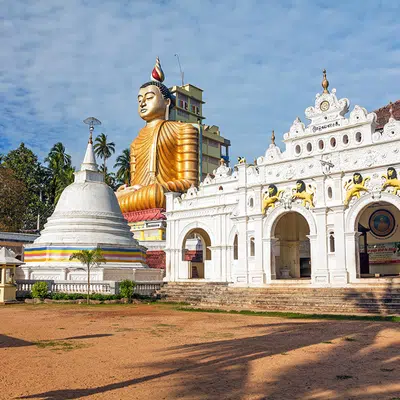 Natürlich Sri Lanka!