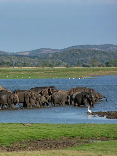 Sagenhaftes Sri Lanka für Genießer