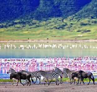 Tansania und Sansibar - von der Serengeti zum Indischen Ozean