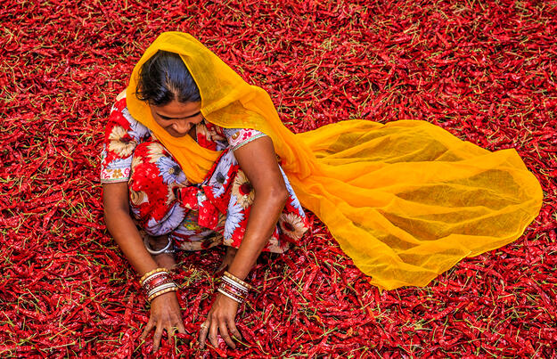 Indien - Tea Time in Assam, Darjeeling und Sikkim