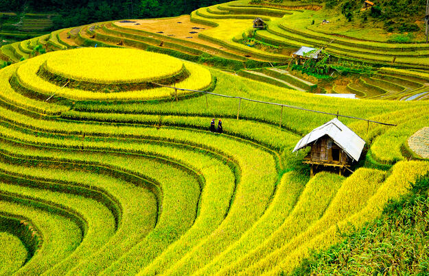 Kulturschätze in Vietnam und Kambodscha