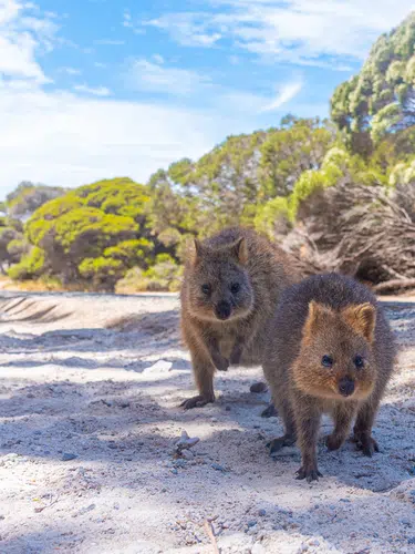 Australien - eine Reise durch die Traumzeit