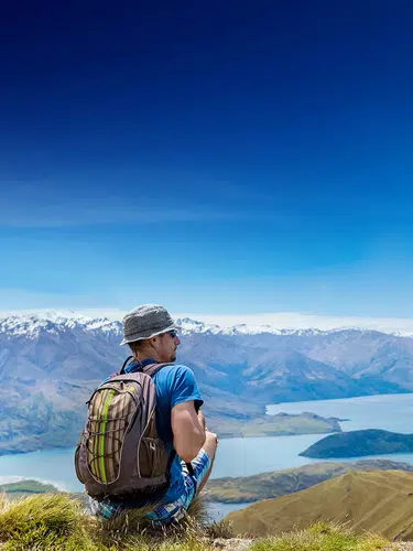 Neuseeland auf Schritt und Tritt