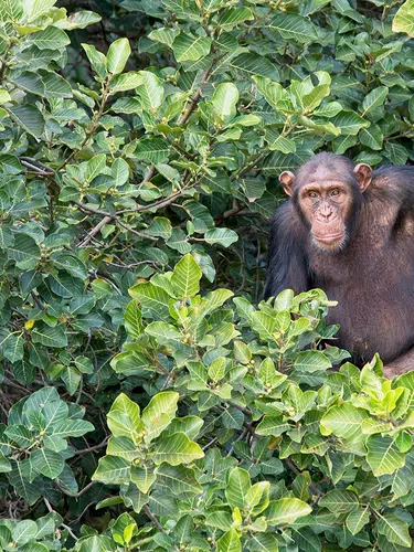 Gambia entdecken