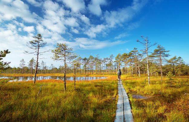 Estlands Inselwelten, Nationalparks und Moorlandschaften