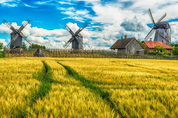 Das Baltikum umfassend genießen