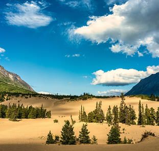 Glanzlichter Yukon und Alaska