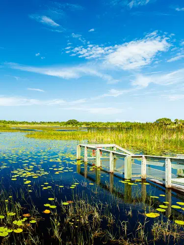 Florida ─ die Höhepunkte des Sonnenstaates