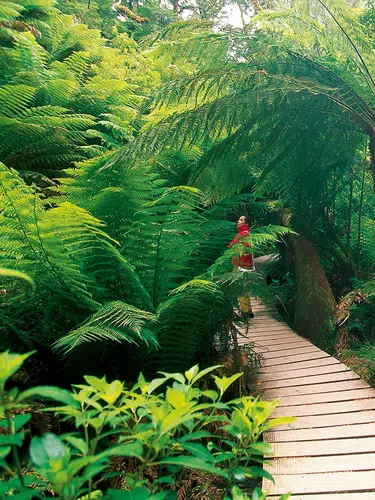 Umfassendes Australien
