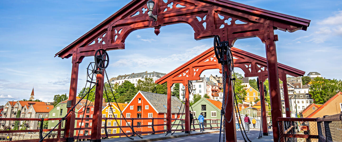 Fjorde, Lofoten und Nordkap