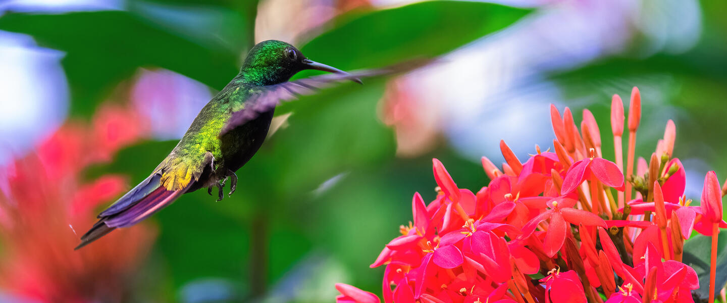 Rio intensiv erleben