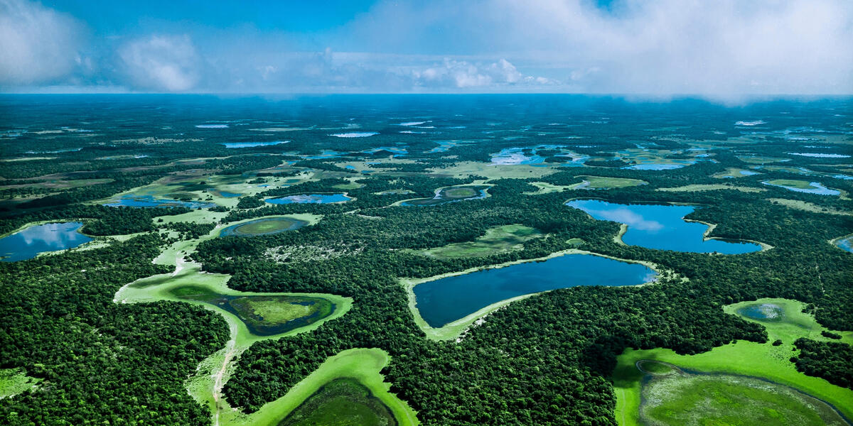 Naturparadies Pantanal