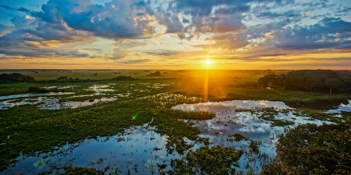Naturparadies Pantanal