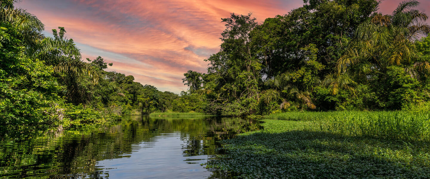 Costa Rica - im Herzen der Natur privat