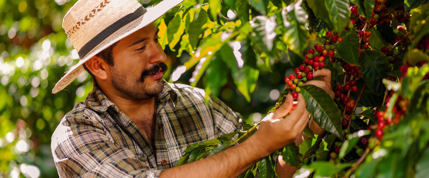 Costa Rica - im Herzen der Natur privat