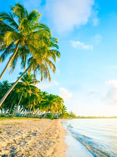 »Isla Majagua«