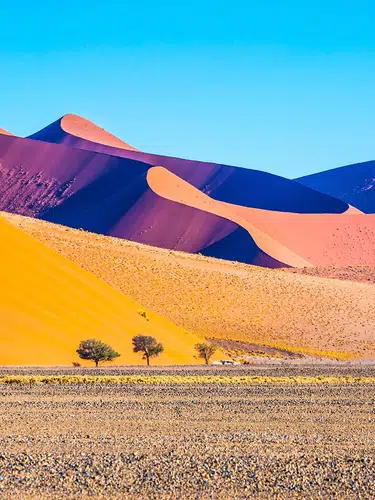 Einzigartiges Namibia