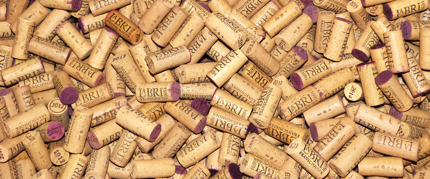 Südafrikas Süden erleben - von Port Elizabeth nach Kapstadt Südafrikas Süden erleben - von Port Elizabeth nach Kapstadt