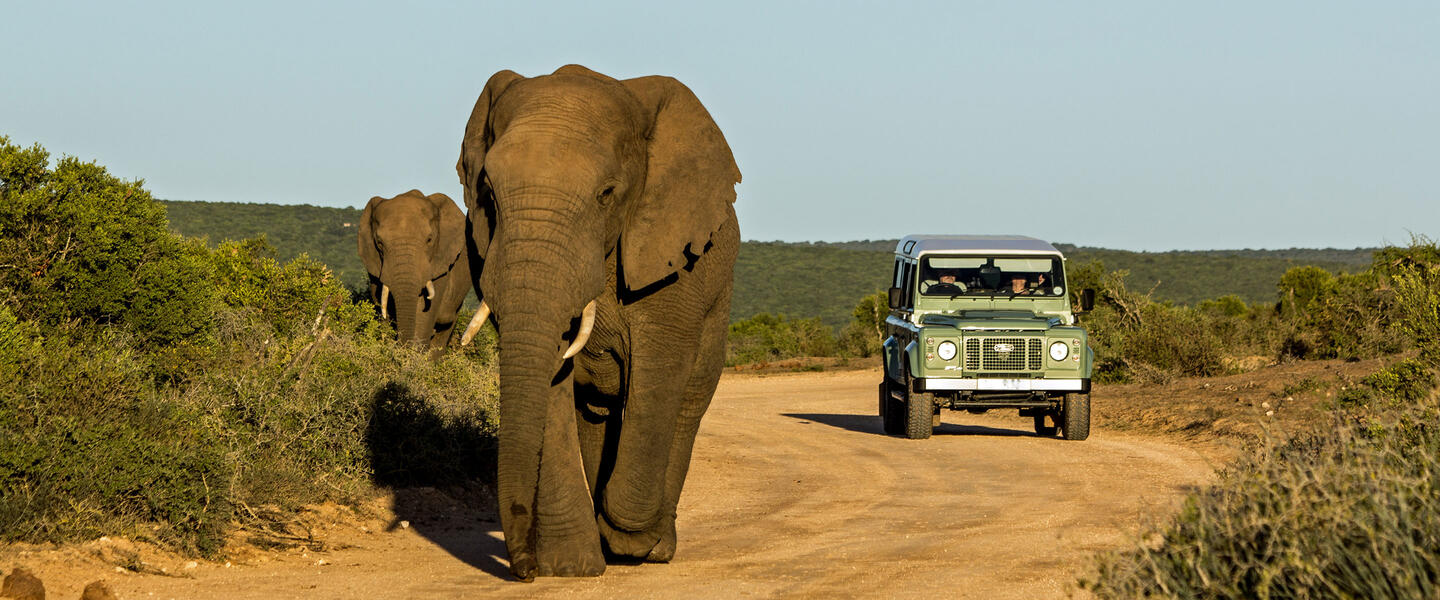 Südafrika für Selbstfahrer - Kapstadt, Gartenroute und Karoo Südafrika für Selbstfahrer - Kapstadt, Gartenroute und Karoo
