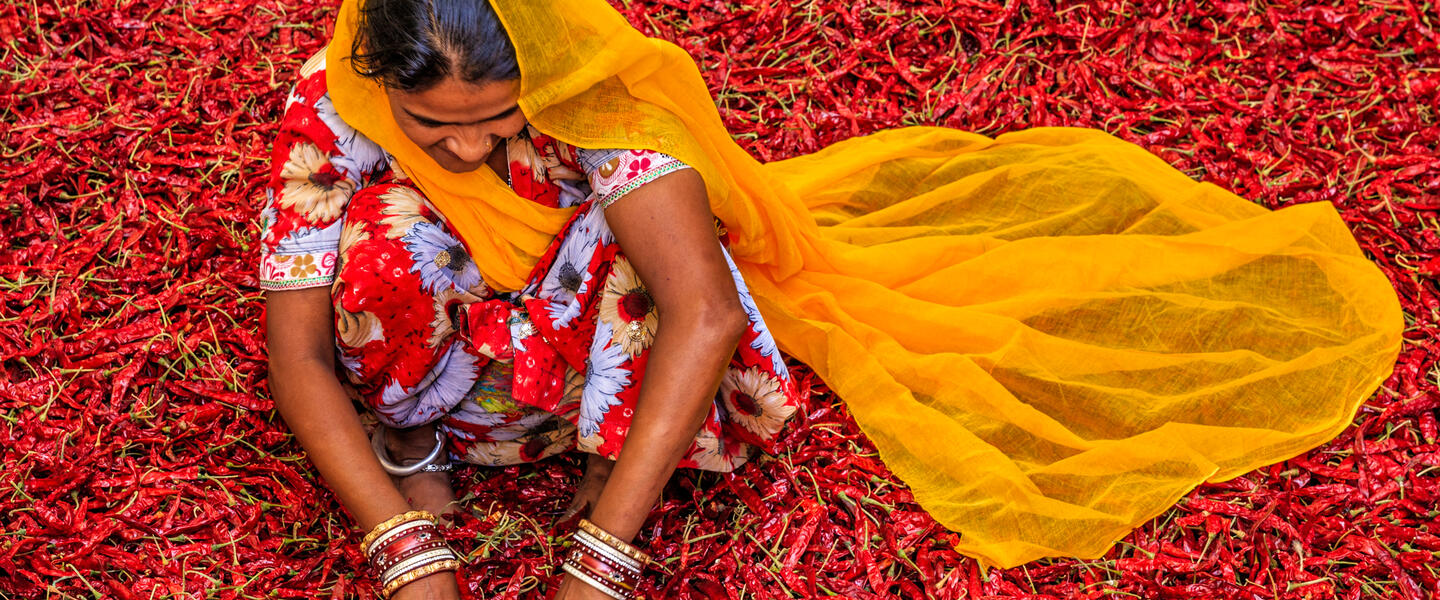 Höhepunkte Nordindiens