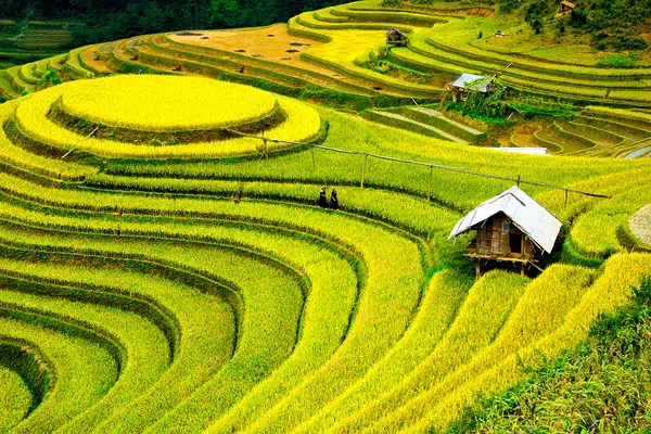 Charmantes Indochina für Genießer